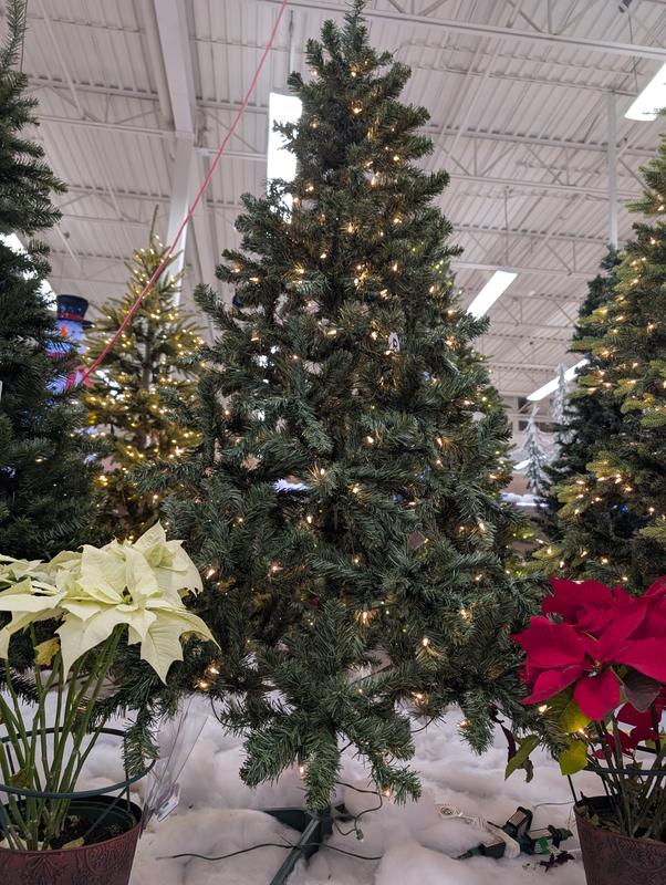 Photo one that they are giving in a box and second photo is from Canadian tire store in which they are misleading and fooling customers.Better beware before spending at this store.