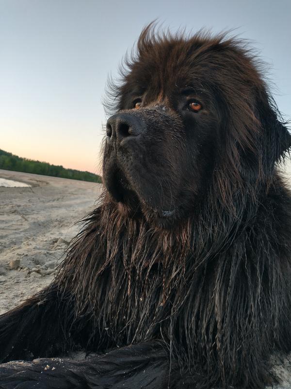 Photo - commentaire 5.