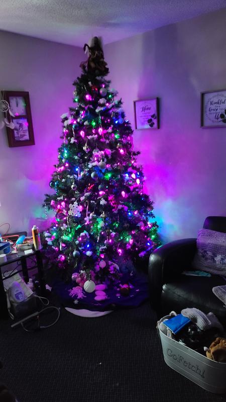 Photo - commentaire 1.