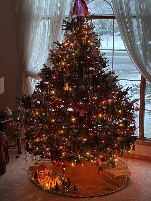 Photo - commentaire&nbsp;8.