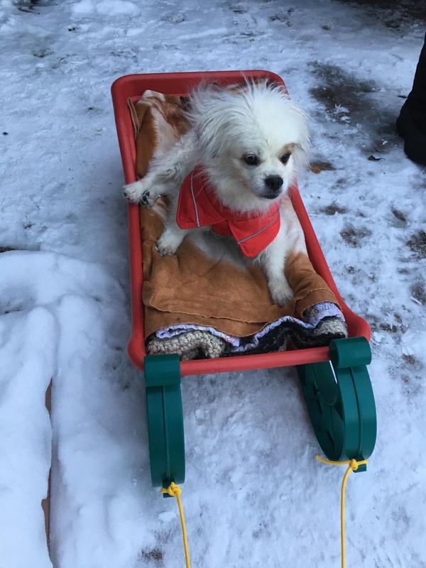 Photo - commentaire&nbsp;2.