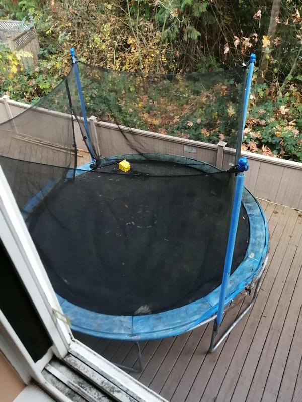 My leaf covered trampoline before and after