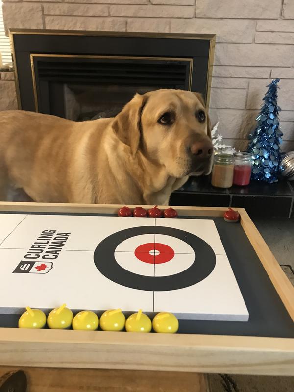 Photo - commentaire 7.