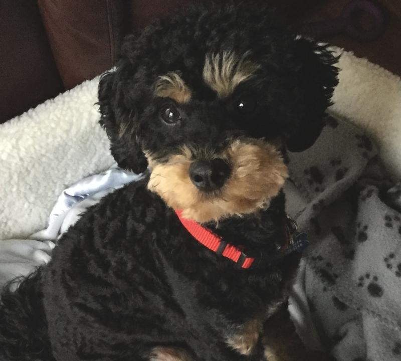 Photo - commentaire&nbsp;1.