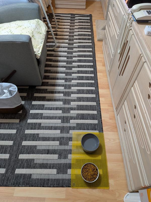 New Rug