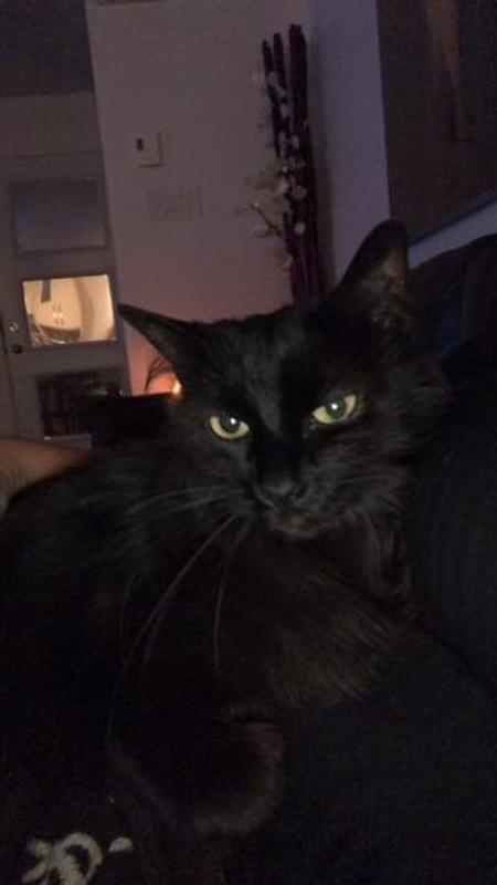 Photo - commentaire&nbsp;3.