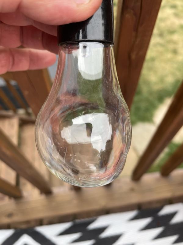 Melted bulbs