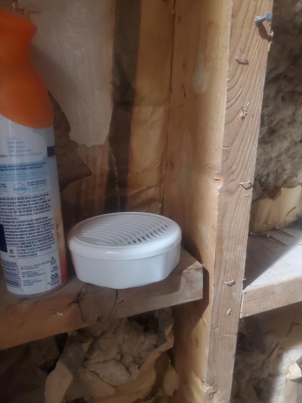 Photo - commentaire 1.