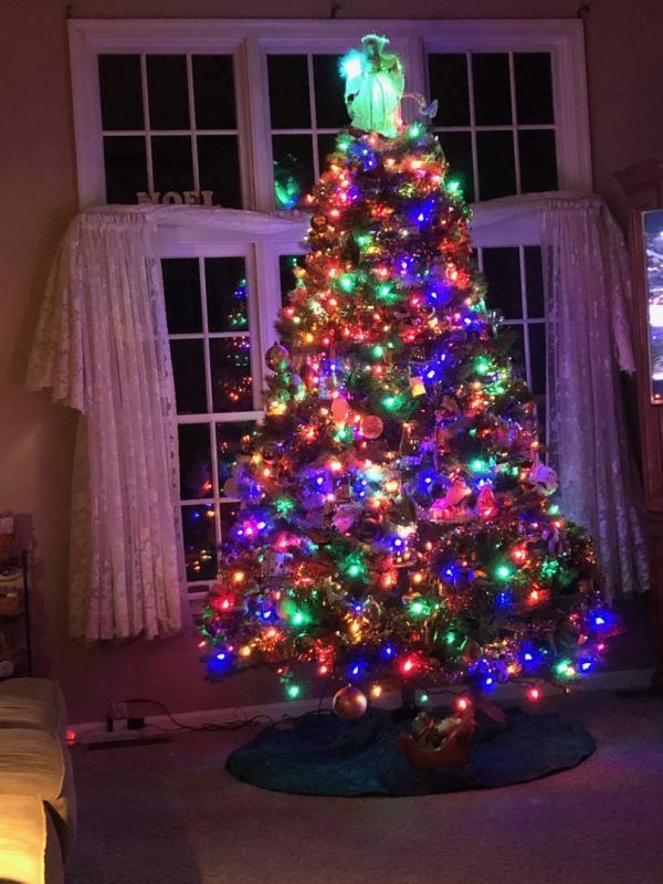 Photo - commentaire 2