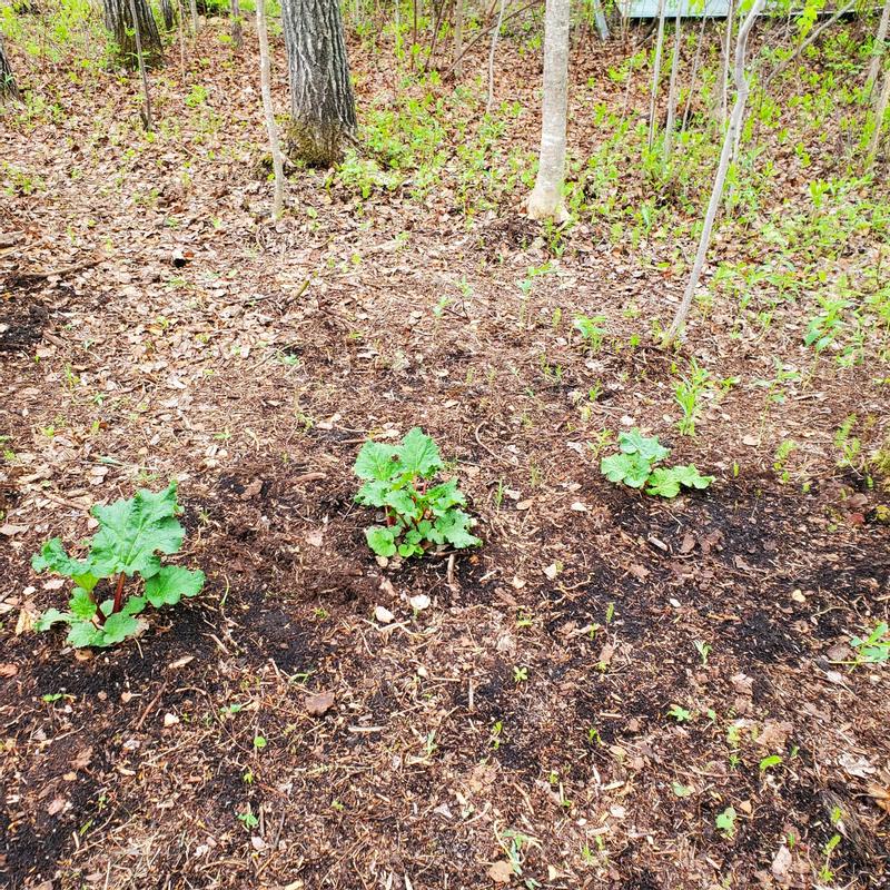 Photo - commentaire&nbsp;3.