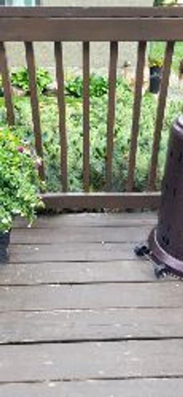 Photo - commentaire 6.