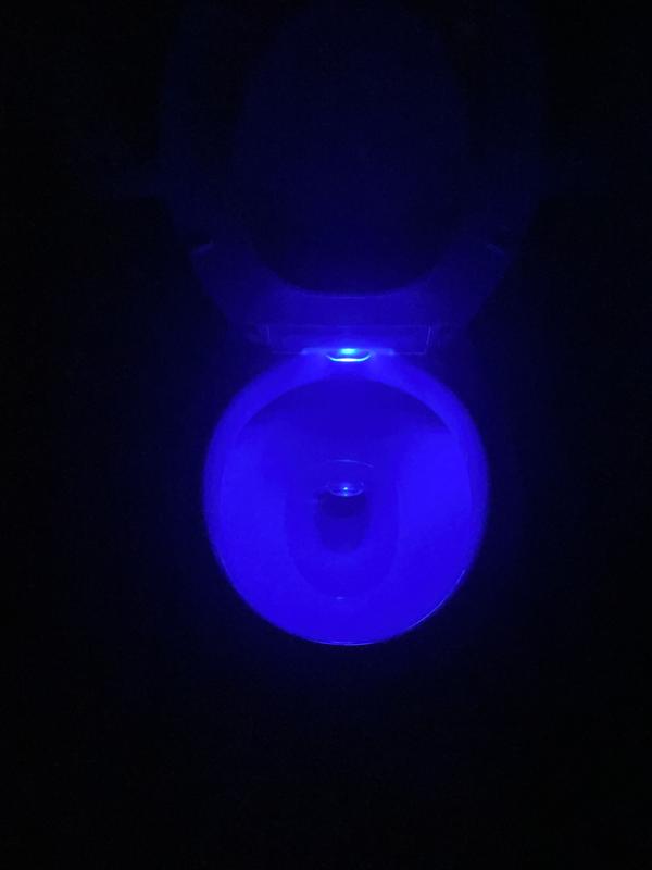 Kohler Cachet™ QuietClose™ Round Toilet Seat with Plastic Hinges, White Canadian Tire