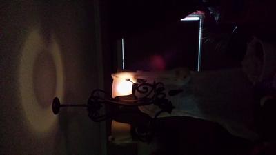 Incandescent Black Light Bulb