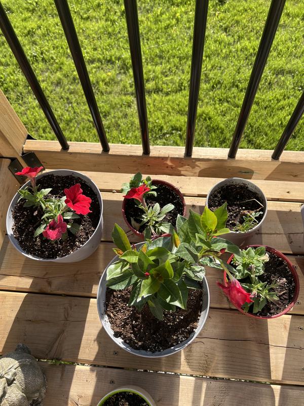 Going to water my flowers now 😉