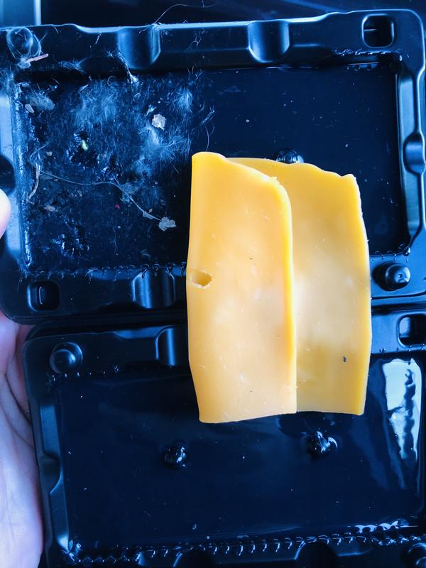 Rat play on it, disappointed