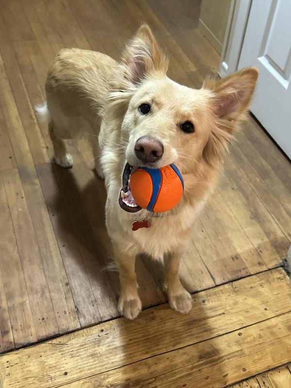 Amandine et sa balle