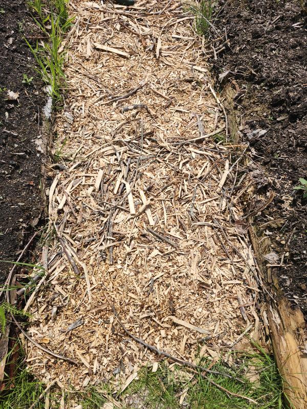 Review photo 3.