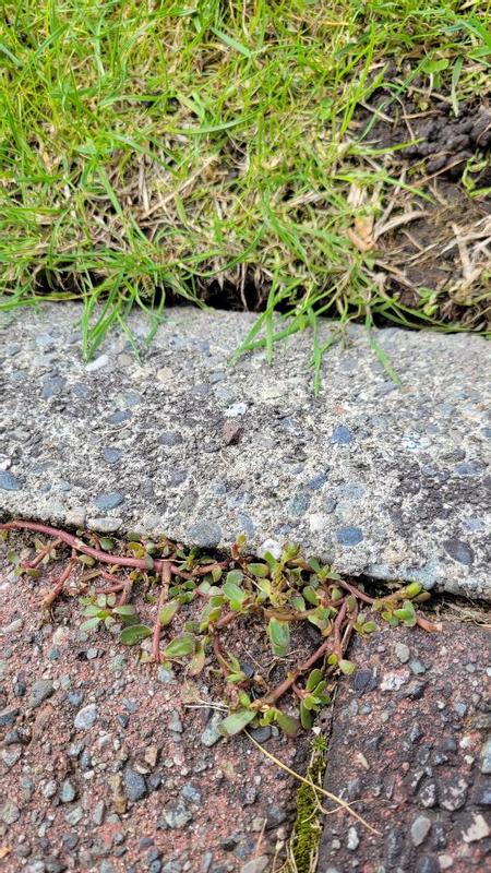 Photo - commentaire&nbsp;2.