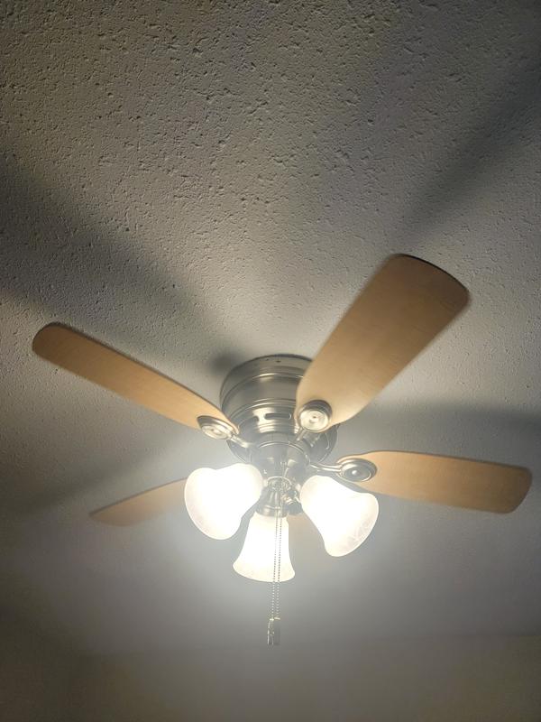 Photo - commentaire 5.