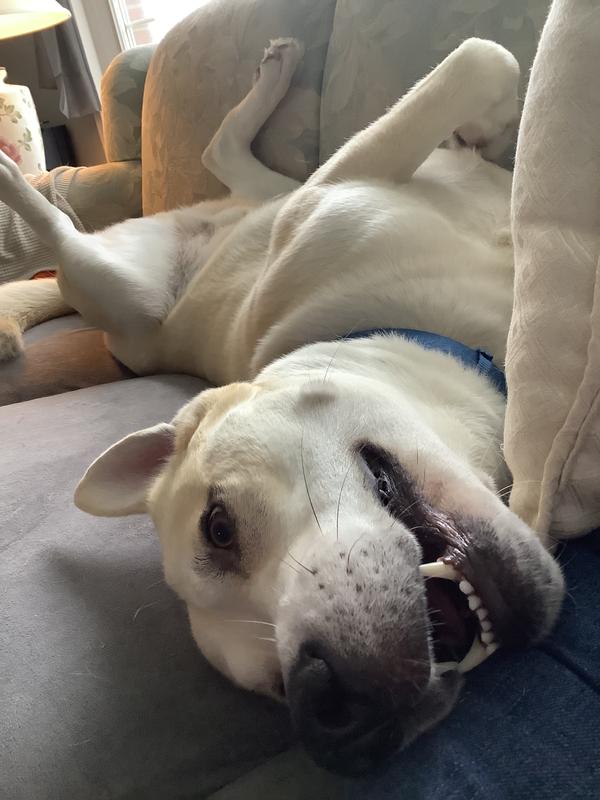 Photo - commentaire&nbsp;2.