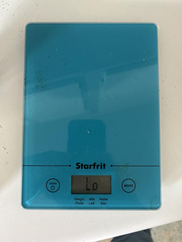 Photo - commentaire 2.