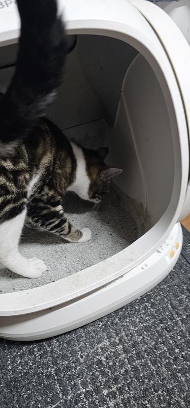 Photo - commentaire&nbsp;1.