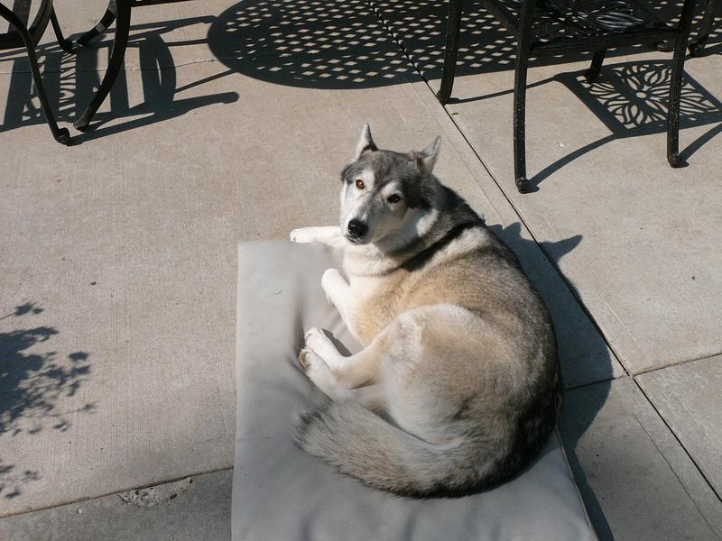 Photo - commentaire&nbsp;3.