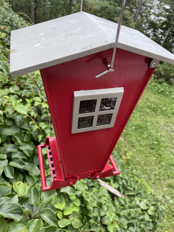 See squirrel scratches and byte marks on the cover