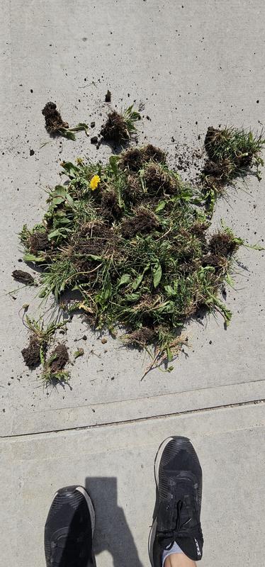 Photo - commentaire 6.