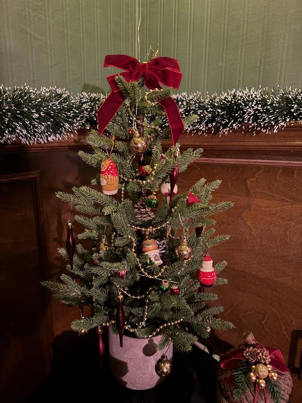 Photo - commentaire&nbsp;2.