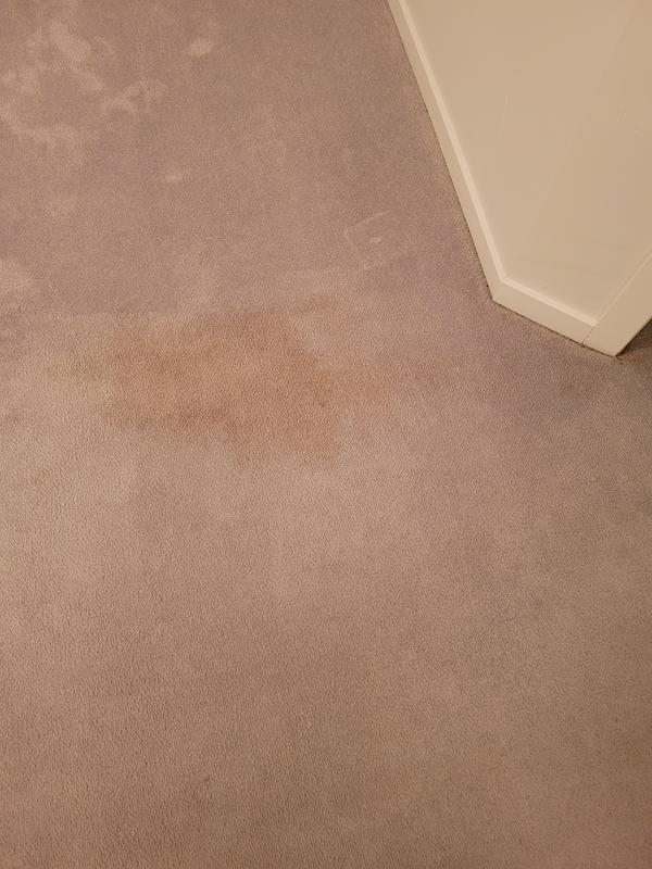 Photo - commentaire&nbsp;2.