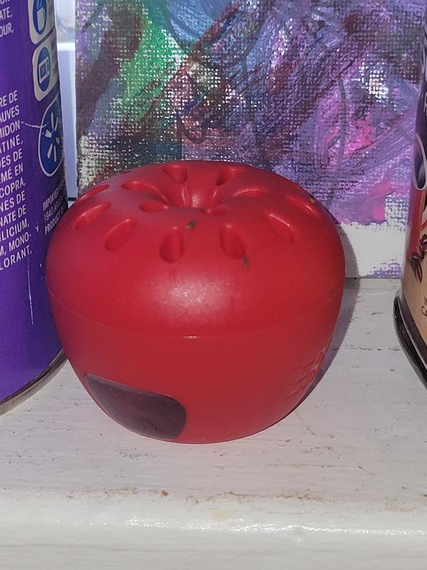 Photo - commentaire 2.