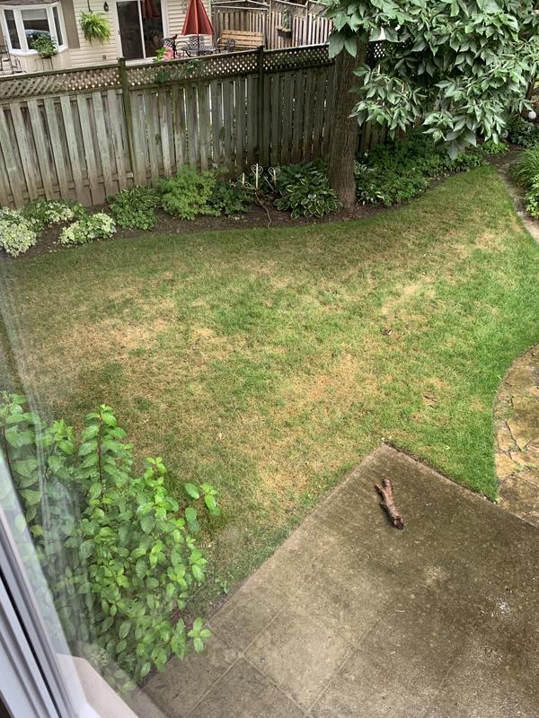 Photo - commentaire&nbsp;6.