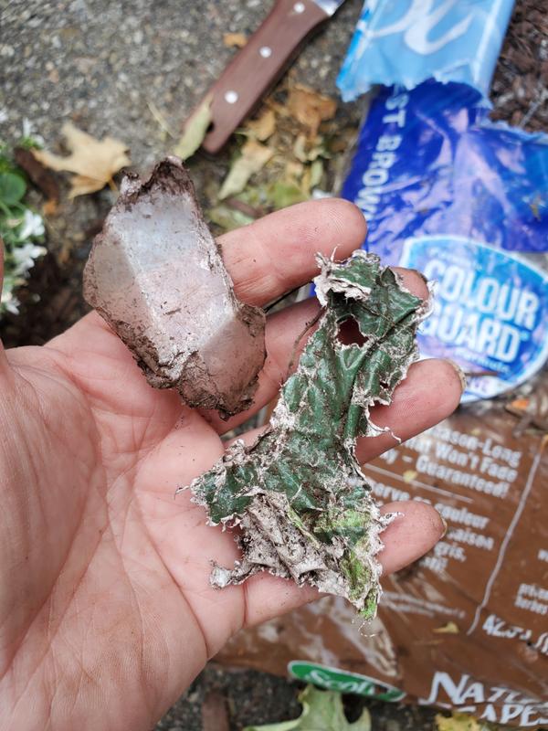 Examples of paper and plastic found in bag