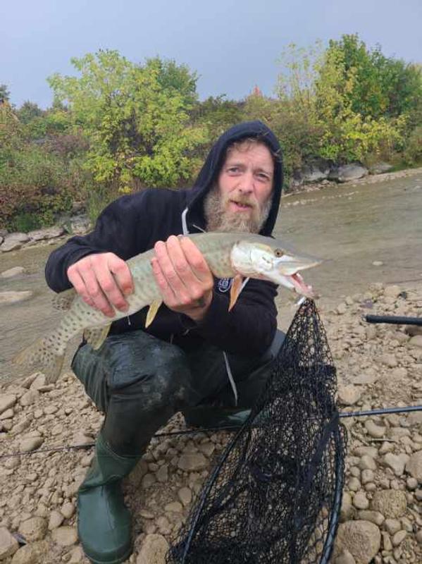 Panther martin strikes again