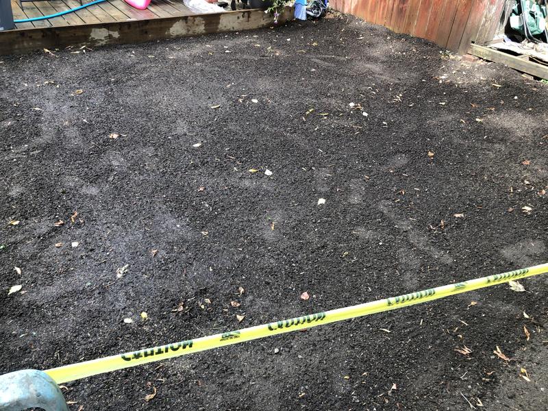 Photo - commentaire 2.