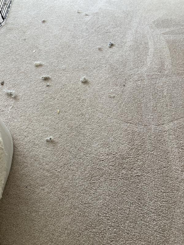 Leftovers I rubbed up after a vacuum.