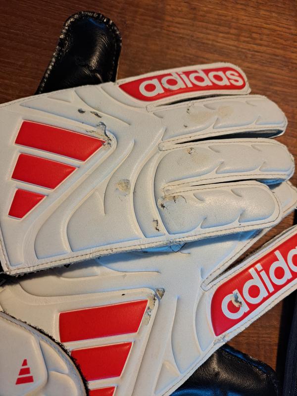 Photo - commentaire 2.