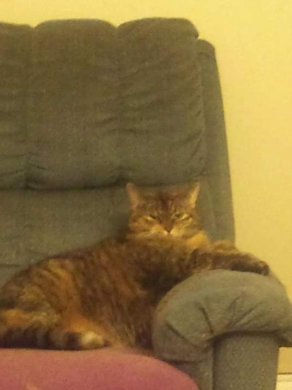 Photo - commentaire 4.