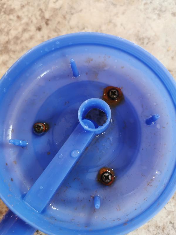 Photo - commentaire 1.