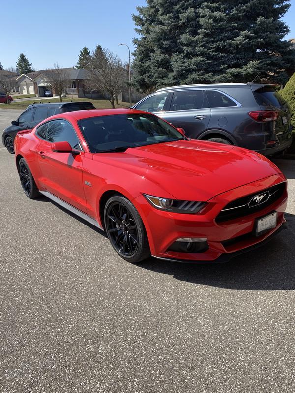 Jack worked beautifully on my 2015 Mustang GT. 50 year anniversary edition.
