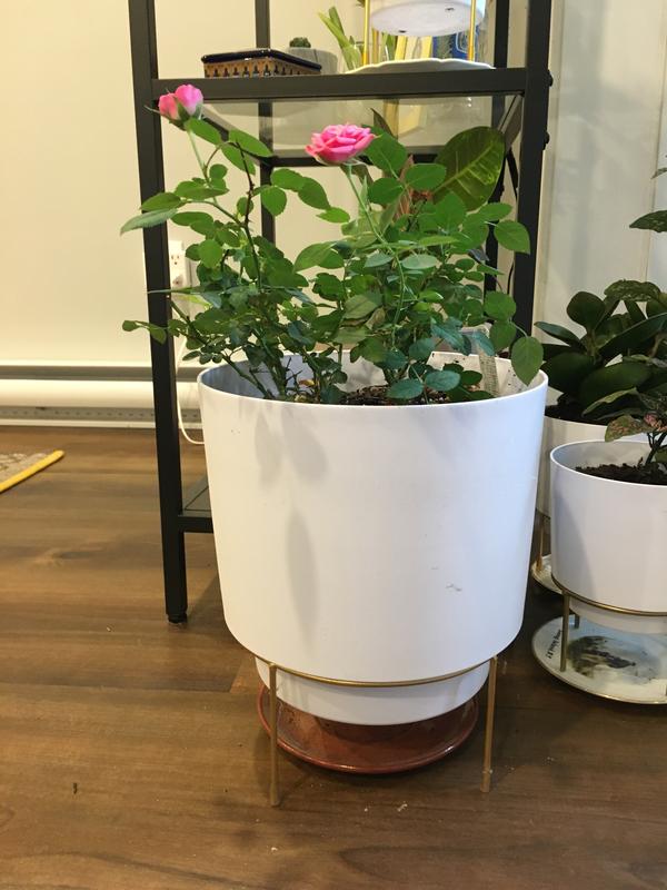 Photo - commentaire&nbsp;5.