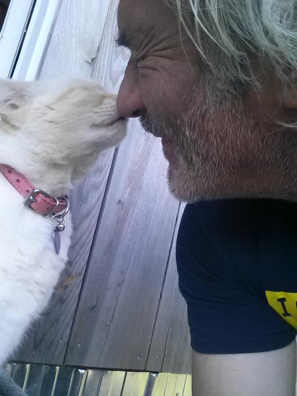 Photo - commentaire&nbsp;8.