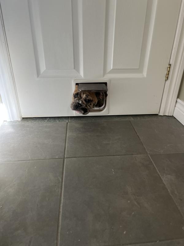 Keeps the dog out of the litter box room.