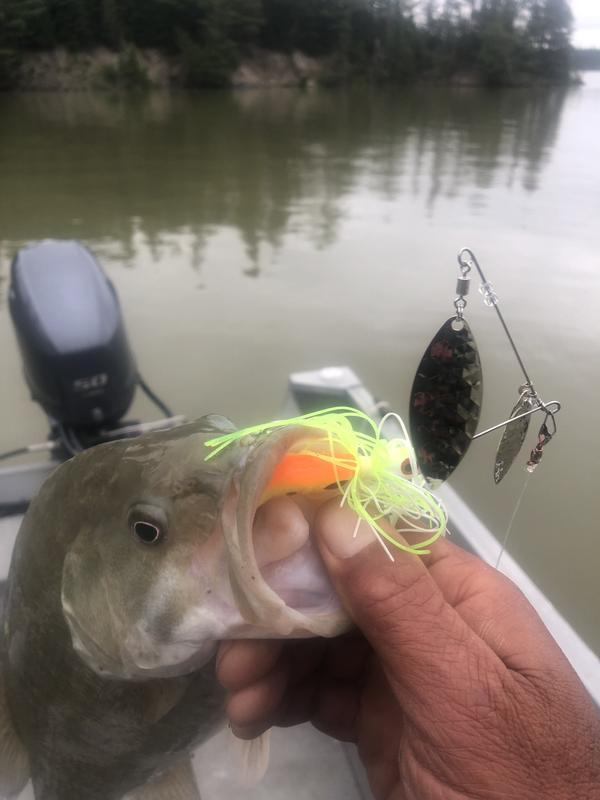 Photo - commentaire&nbsp;4.