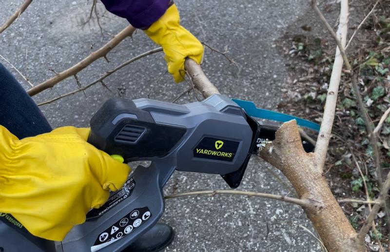 Size of the branches we were cleaning up.