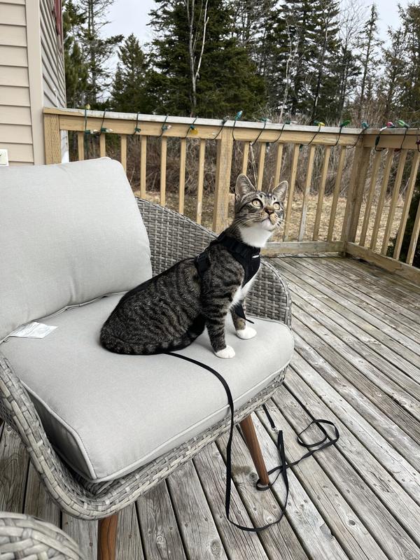 Photo - commentaire&nbsp;2.