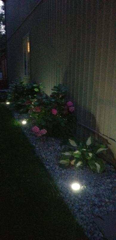 Set up along the side of my landscape