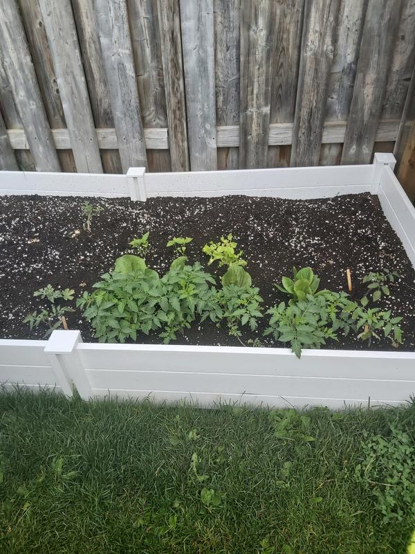 Photo - commentaire 7.