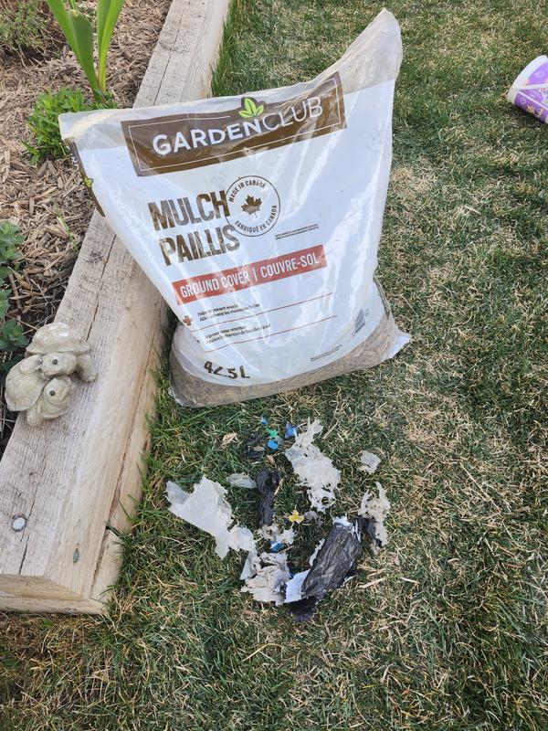 Photo - commentaire 8.